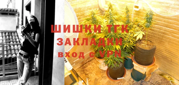 дживик Кинешма
