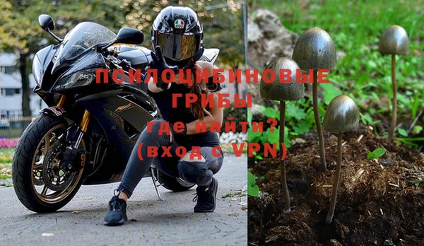 дживик Кинешма