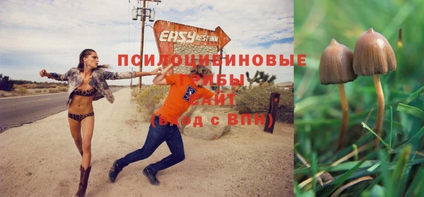 ECSTASY Карталы