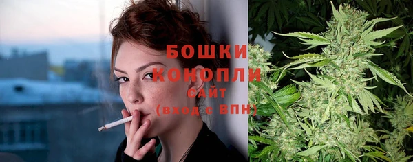 дживик Кинешма